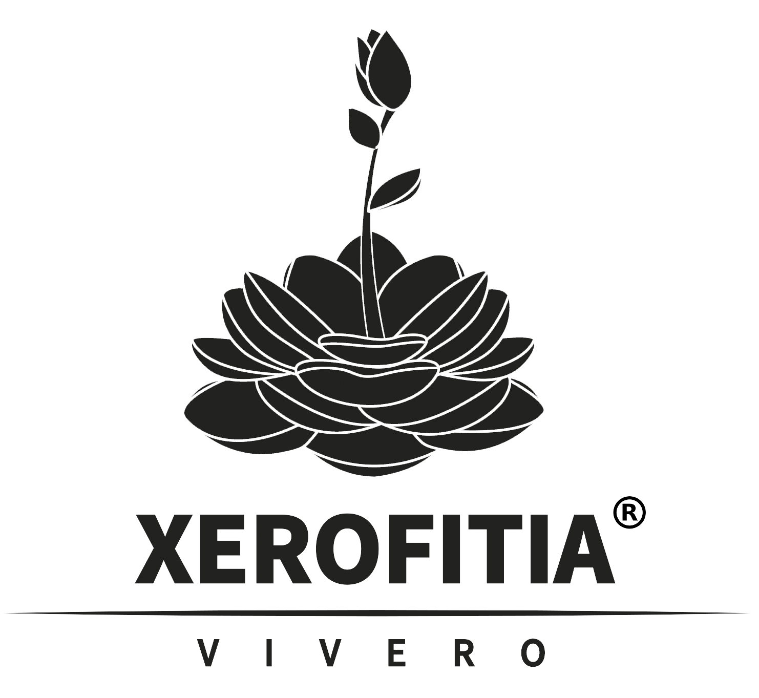 Logo de PIMVS XEROFITIA